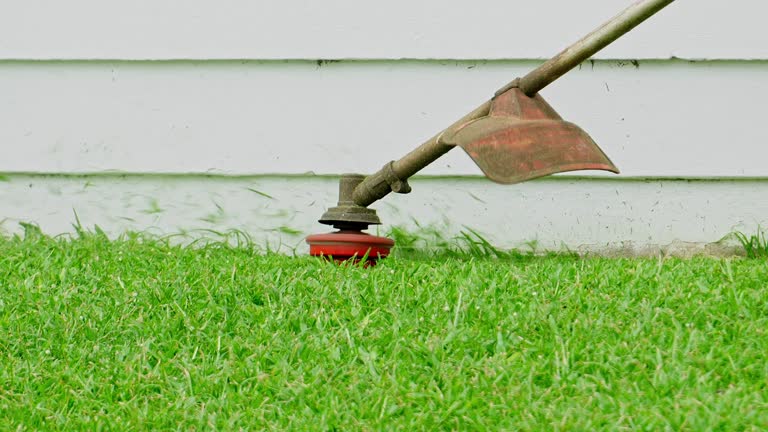 Best Lawn Disease Treatment  in Saylorville, IA