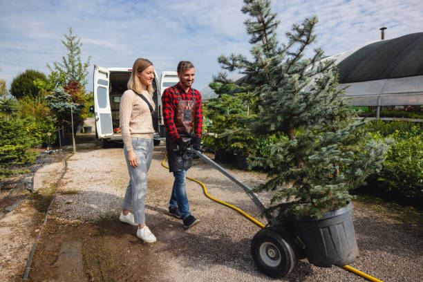 Best Seasonal Cleanup (Spring/Fall)  in Saylorville, IA
